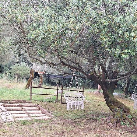 Villa Moradia Rural De Charme Agradavel E Acolhedora à Arrimal Extérieur photo